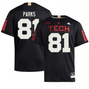 Men Dave Parks #81 Black Stitched 100 Year Anniversary Jersey | Red Raiders University Football Official Merch 54270447