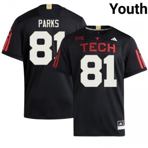 Tech #81 Dave Parks Black Youth Football 100 Year Anniversary Jersey | Authentic Embroidery Player Fit 86642468